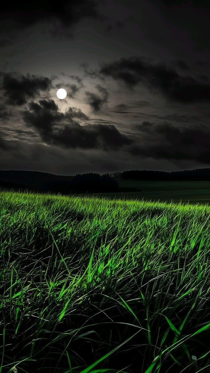 image-1761128031084-0