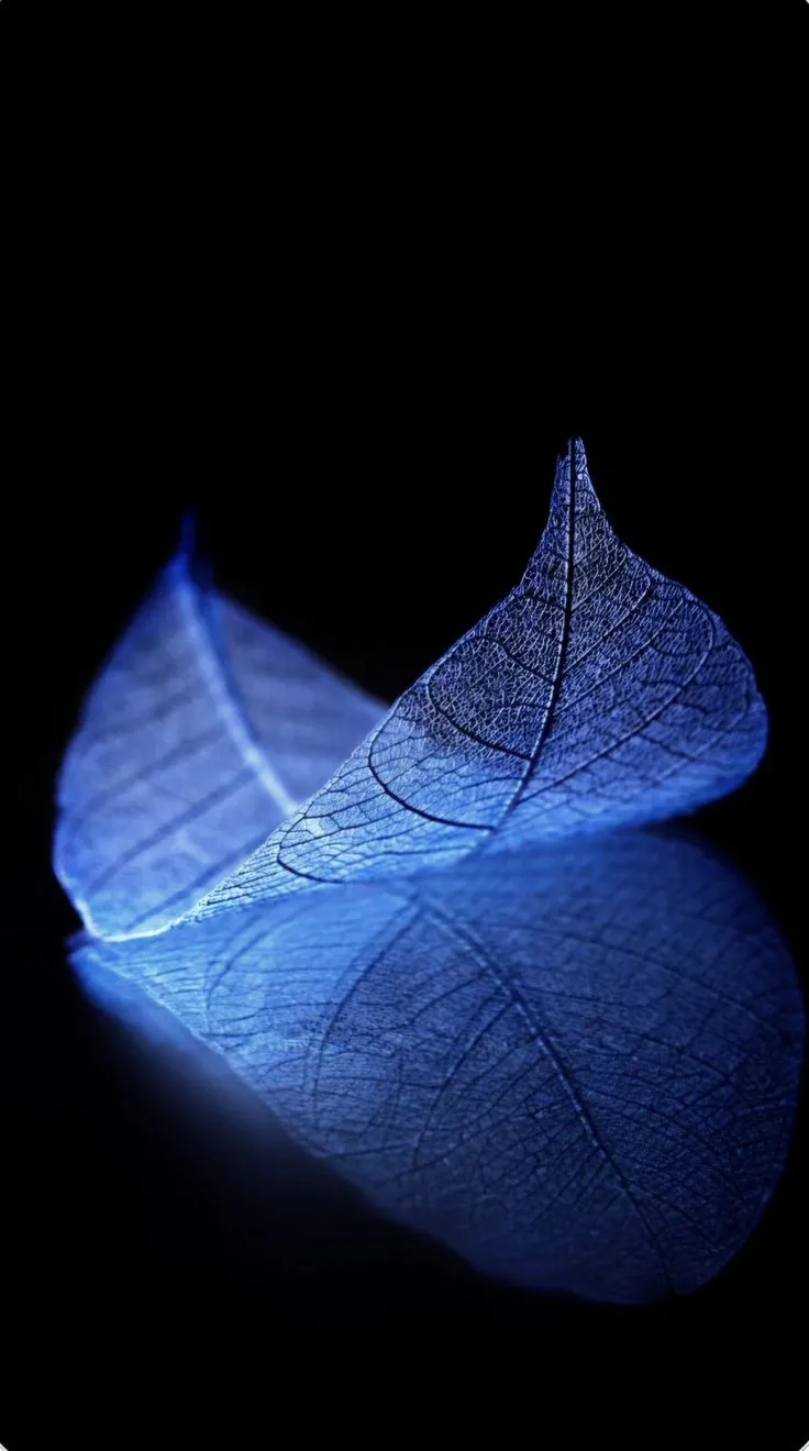 image-1761752157265-3