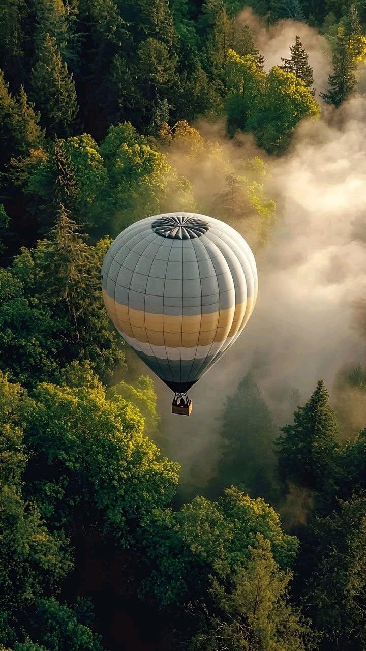 image-1761962685217-1