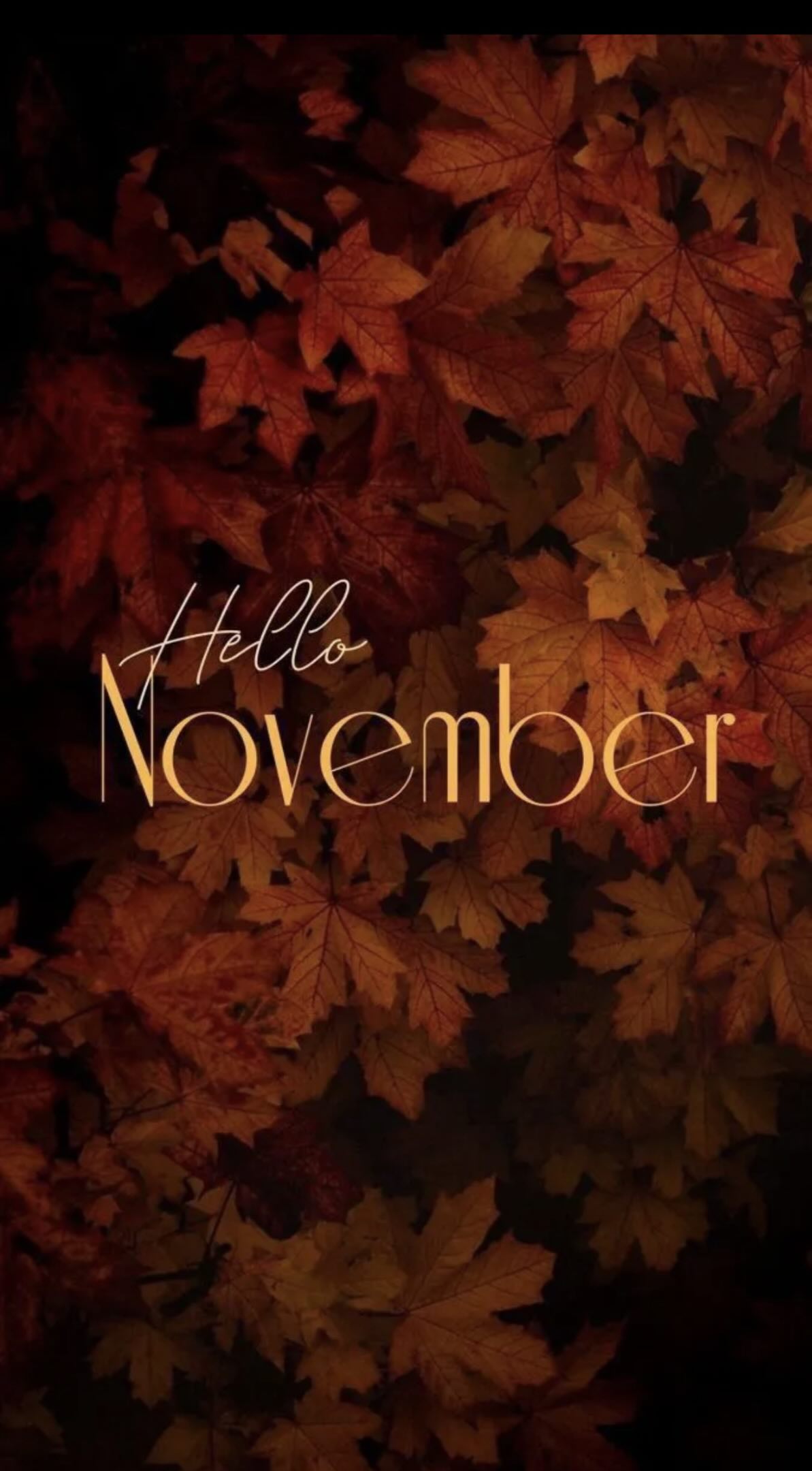 image-1762139315957-0