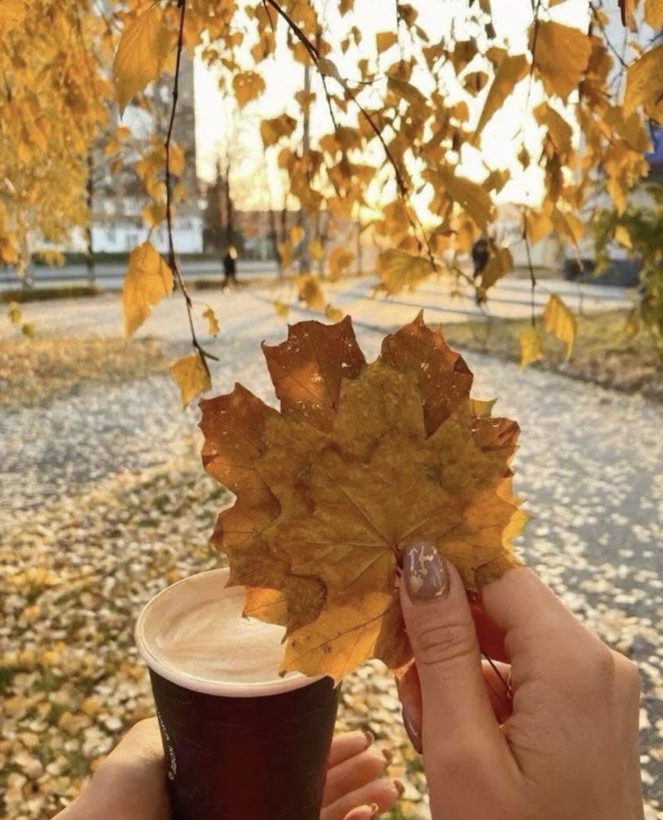 image-1762139321645-2