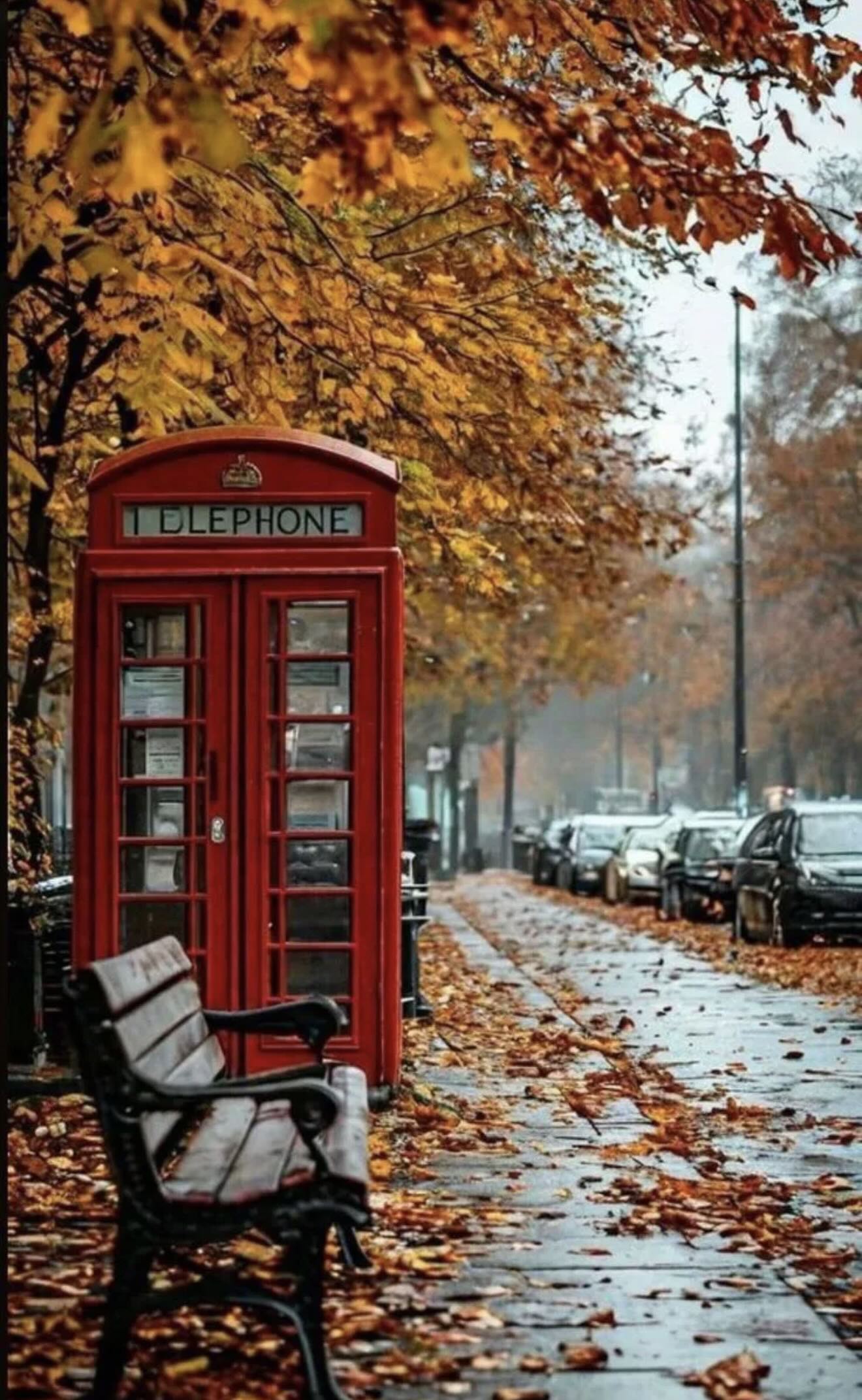 image-1762139328491-5